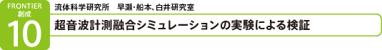 超音波計測融合シミュレーションの実験による検証