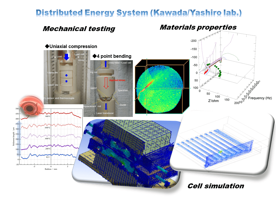 Kawada & M.Yamaguchi Lab.