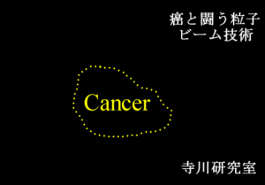 Terakawa & Iwamoto Lab.