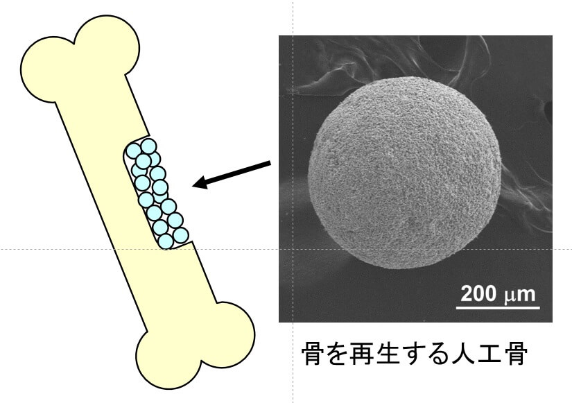 Kamitakahara Lab.