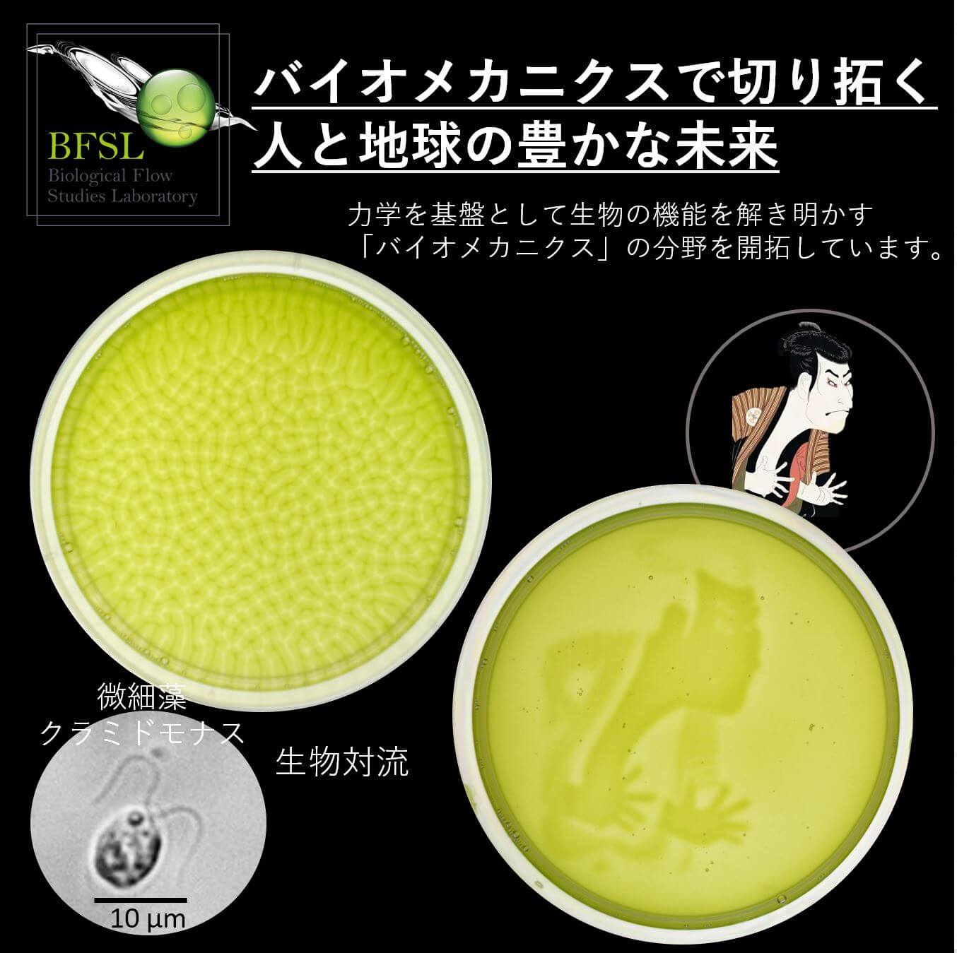 Ishikawa Lab. ／ Kikuchi Lab. ／ Omori Lab.