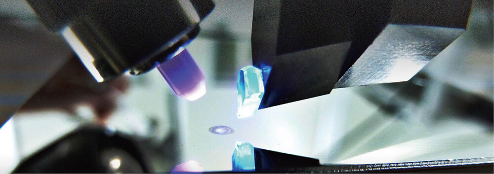 Mizutani & Kuji Lab.