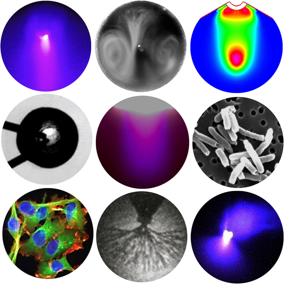 T.Sato & LIU Lab.