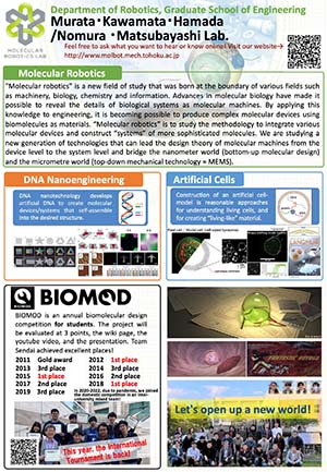 Murata & Abe Lab. ／ S.Nomura & Matsubayashi Lab.