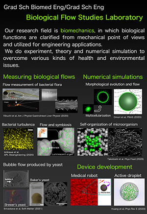 Ishikawa Lab. ／ Kikuchi Lab. ／ Omori Lab.