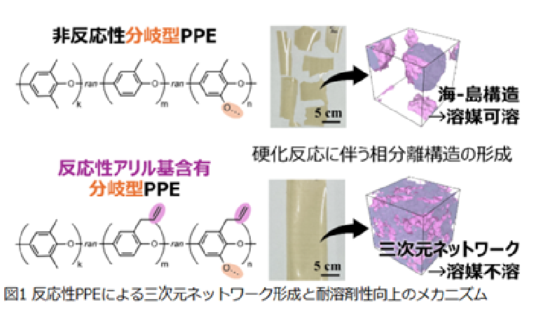 高周波電子基板向けポリマーの耐溶剤性向上の仕組みを解明（三島 翔子 助教）